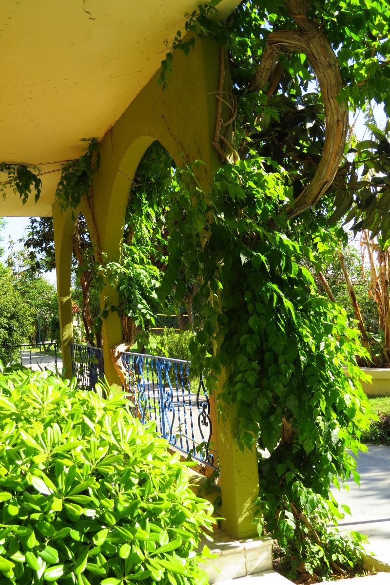 Maritime Hotel Apartments Petaloudes Εξωτερικό φωτογραφία